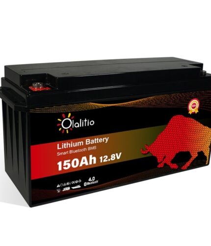 Olalitio 12V Lithium Solar Battery with Bluetooth